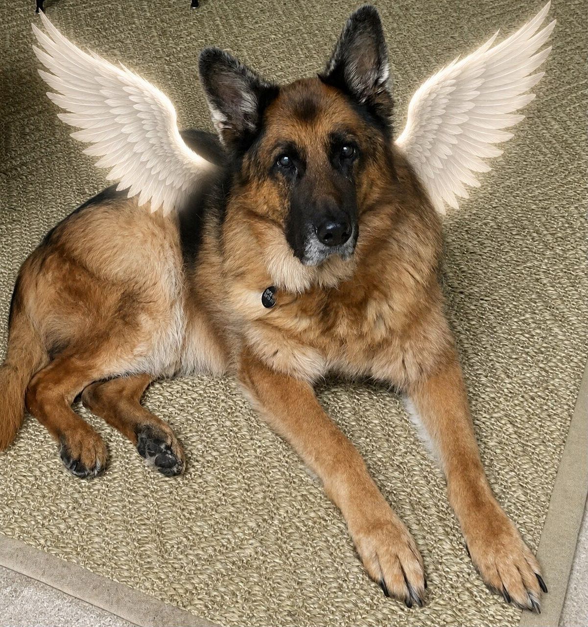 In loving memory